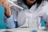 Why Western Blotting Protein Remains a Trusted Lab Method