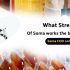 what is digital marketing in noida