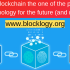 Why Blockchain Eduation Should Be Allowed in School?