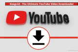 Download Videos from social media with Keepvid