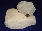 Zeolite Market Future Scope (2020-2025): Forecast, Analysis and Application | Interra Global Corporation, Tosoh Corporation, BASF SE