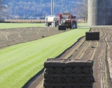 Automated Turf Harvester to Garner Brimming Revenues by 2026