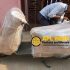 Best Packers and Movers in Hooghly – aplindiapackers