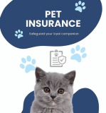 Insurance in Perth Amboy, NJ: Your Essential Guide