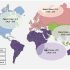 Cartilage Regeneration | Emerging Industry Applications to Drive $779.8 Million Growth