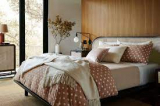 What Type of Bed Is Suitable for You?