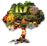 Find Food Processing Consultancy in India