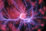 Blocking a Key Immune Protein Could Improve Radiation Therapy for Cancer