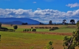 Australia’s Nature: 7 Unique Spots to Explore by Car