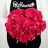 FiftyFlowers Will Help You Get Carnations in Bulk
