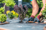 5 Best Irrigation Business Software for 2023