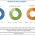 Mental Health Software Market Size Incredible Possibilities And Growth Analysis