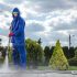 How to Choose Reliable House Painters in NYC for Your Next Project