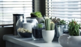 How to Grow and Care for Your Own Garden Hospitality