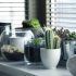 Health benefits of DIM for boosting the metabolic system and immunity