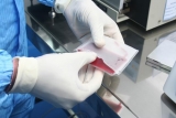 What Should You Do to Go for Stem Cell Banking for Your Unborn Baby?